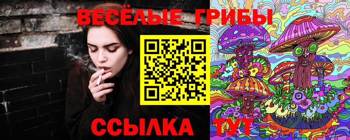 Галлюциногенные грибы Magic Shrooms  Псилоцибиновые грибы прущие грибы  Краснокамск  Вход с VPN 
